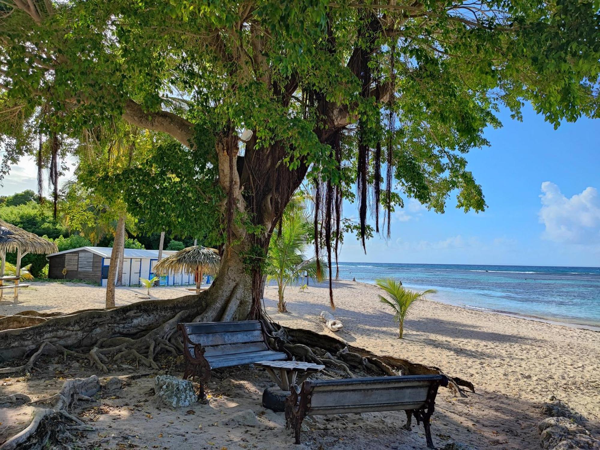 Studio Kawane Anse Des Rochers 303 Rdc, Cote Mer Saint-Francois (Grande-Terre) Exterior foto